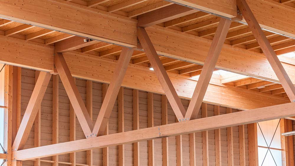 توريد خشب الباوبوخا الالمانيه من بولماير شركات كوم