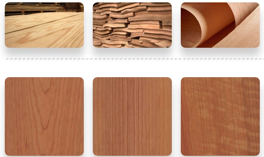 توريد جميع انواع القشره الامريكي