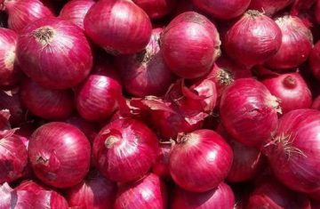 Red-Onions