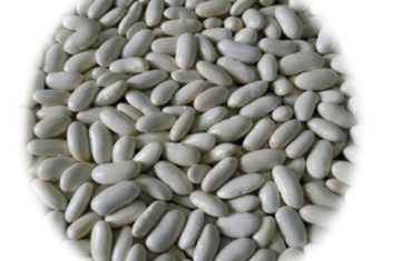 تصدير-فاصوليا-بيضاء-من-شركة-الاصيل