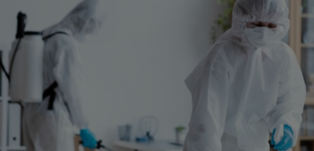 خدمات مكافحة الحشرات من شركة بروفيشنال سيرفس