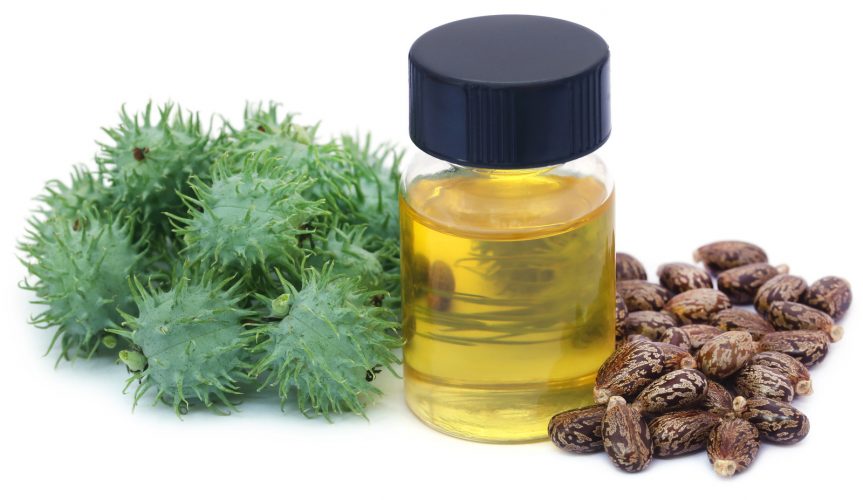 توريد زيت الخروع طبيعي عضوي 100% بافضل المواصفات Supplying 100% natural organic castor oil with the best specifications