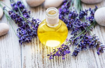 توريد زيت اللافندر طبيعي عضوي 100% بافضل المواصفات Supplying 100% natural, organic lavender oil with the best specifications