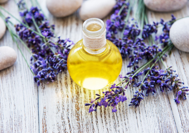 توريد زيت اللافندر طبيعي عضوي 100% بافضل المواصفات Supplying 100% natural, organic lavender oil with the best specifications