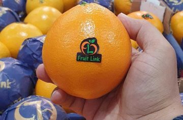 توريد وتصدير برتقال بسره نافل من شركة فروت لينك