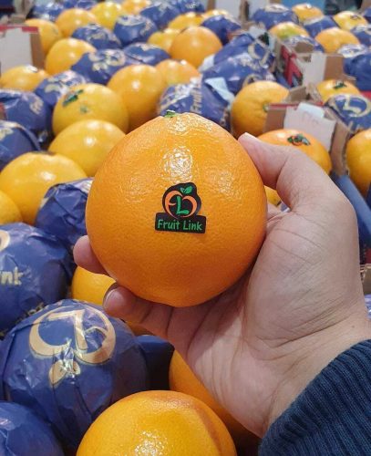 توريد وتصدير برتقال بسره نافل من شركة فروت لينك