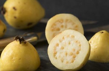 إنتاج وتوريد بيور عصير الجوافة من شركة المروة
