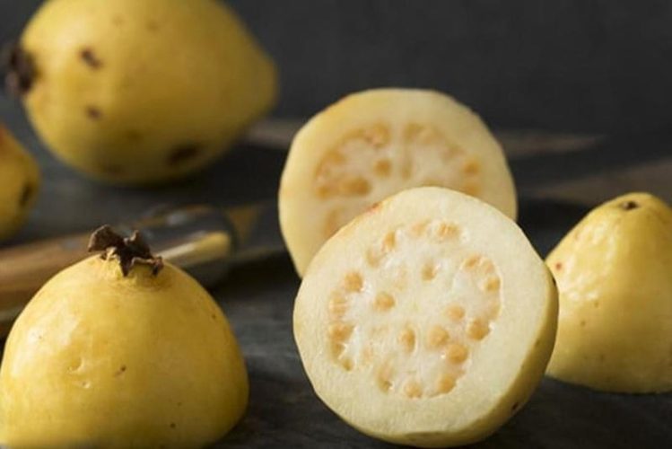 إنتاج وتوريد بيور عصير الجوافة من شركة المروة