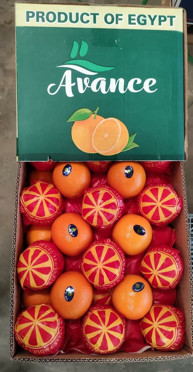 تصدير برتقال مصري – Egyptian Orange