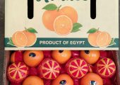 تصدير برتقال مصري – Egyptian Orange