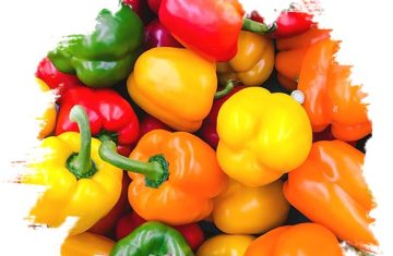 Fresh-Capsicum-Pepper-from-GO-PLAZA