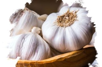 Fresh-Garlic-from-GO-PLAZA