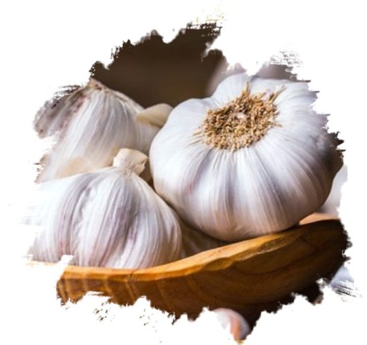 Fresh Garlic from GO PLAZA