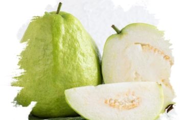 Fresh-Guava-from-GO-PLAZA-company