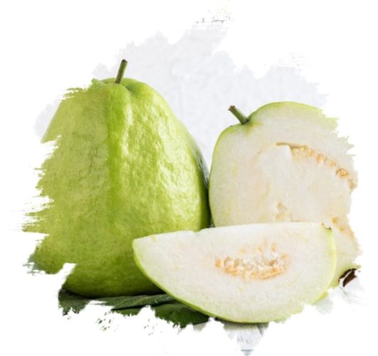 Fresh-Guava-from-GO-PLAZA-company