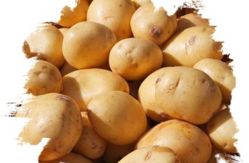 Fresh potatoes from GO PLAZA company
