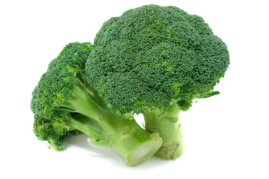 تصدير البروكلي عالية الجودة من شركة الشهد