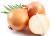 Exporting Golden onions from Egypt by Organic Co. For Import & Export