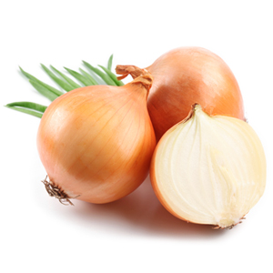Exporting Golden onions from Egypt by Organic Co. For Import & Export