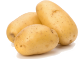 Exporting fresh Egyptian potatoes to worldwide by Organic Co.For import & export