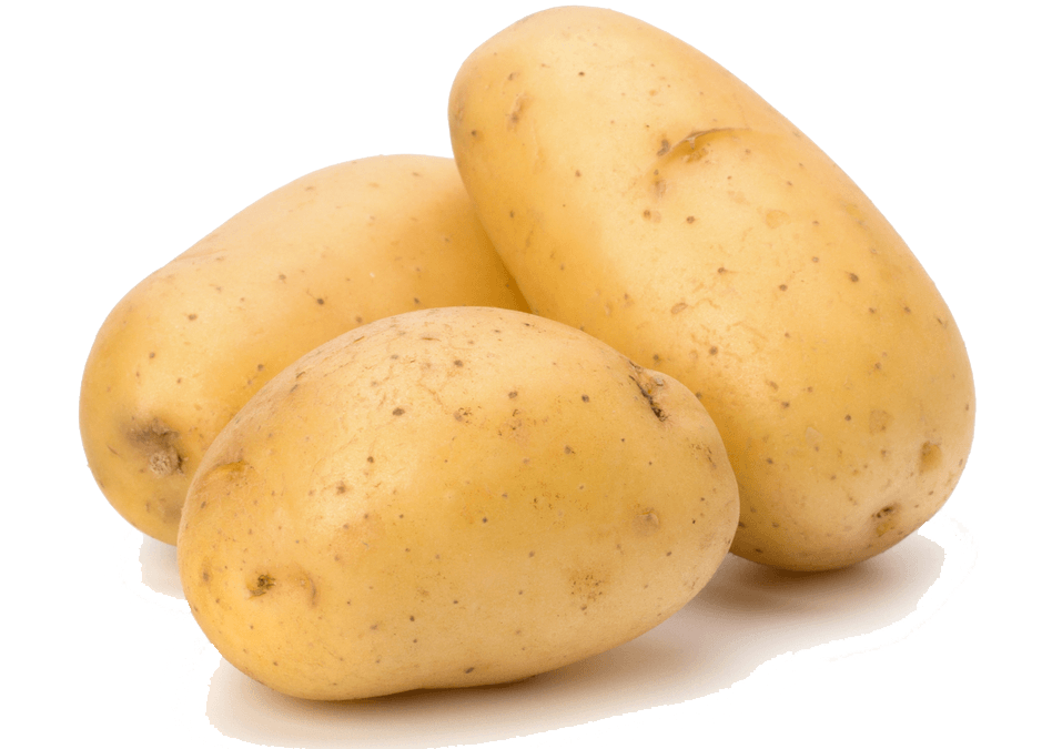 Exporting fresh Egyptian potatoes to worldwide by Organic Co.For import & export
