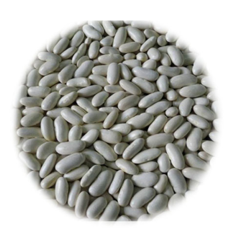 Export of high quality white kidney beans from Organic Co. Export and Import
