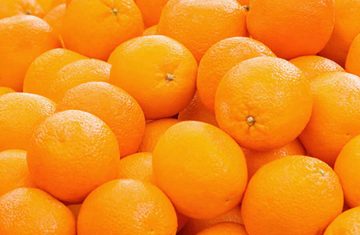 تصدير برتقال عالي الجودة من شركة الشهد