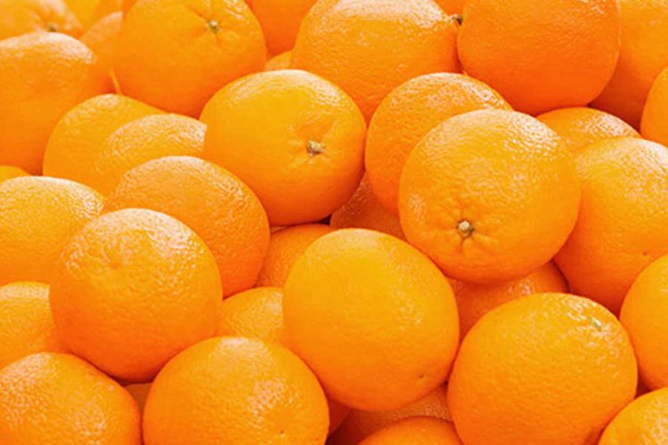 تصدير-فاكه-البرتقال-عالية-الجودة-من-شركة-الشهد