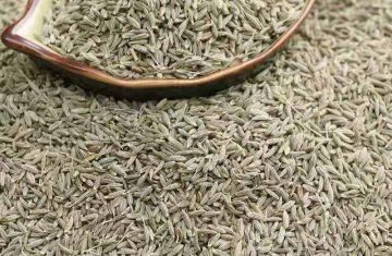 Egyptian-and-Syrian-cumin-seeds-export