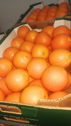 fresh Orange , Valencia and Navel