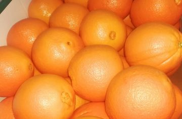 fresh Orange , Valencia and Navel