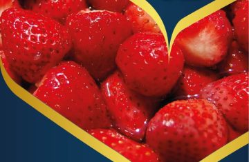 تصدير فراولة مجمدة اي كيو اف من شركة فيجي توت