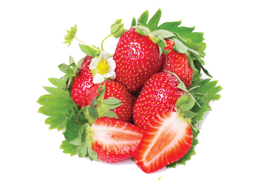 تصدير فراولة مصرى من شركة Agro Vegan