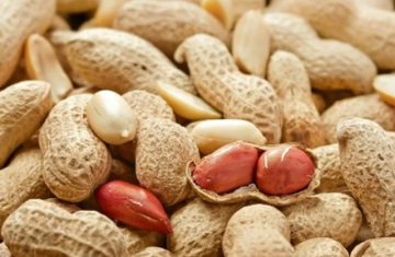 Export-Peanut-in-Shell-from-elbostan-group