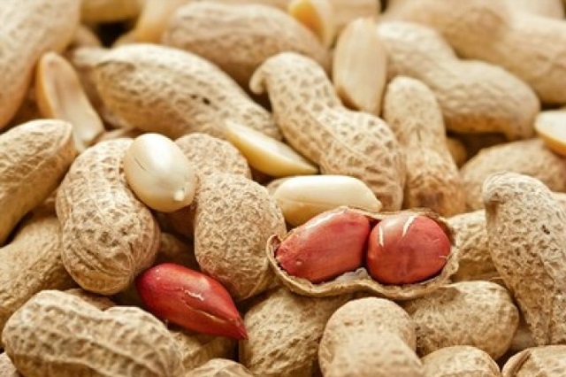 Export-Peanut-in-Shell-from-elbostan-group