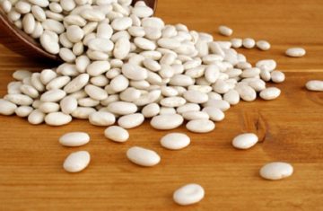 Export-White-Beans-from-elbostan-group