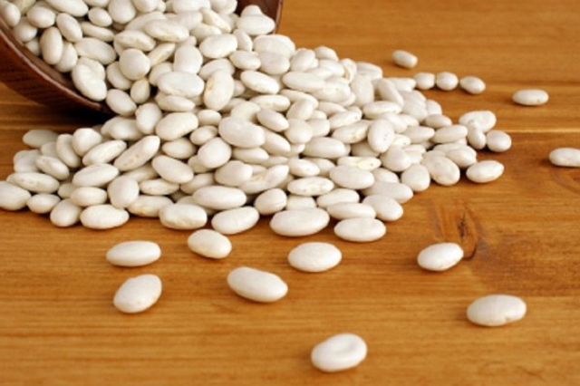 Export-White-Beans-from-elbostan-group