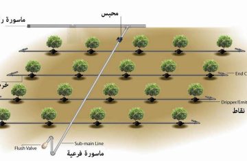 تنفيذ-شبكات-الري-بالطاقة-الشمسية-من-شركة-النصر-سول