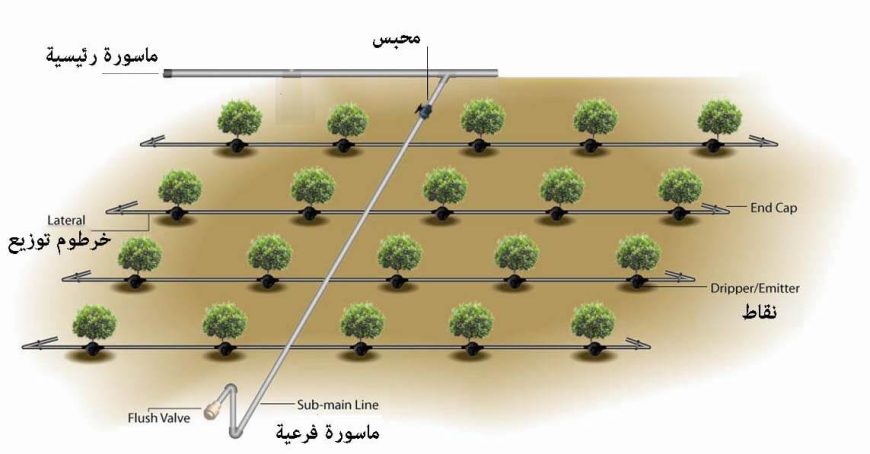 تنفيذ شبكات الري بالطاقة الشمسية من شركة النصر سولر