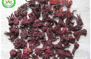 hibiscus for import and export