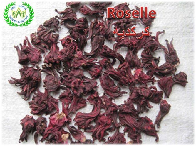 hibiscus for import and export