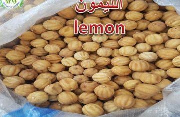 lemons for export