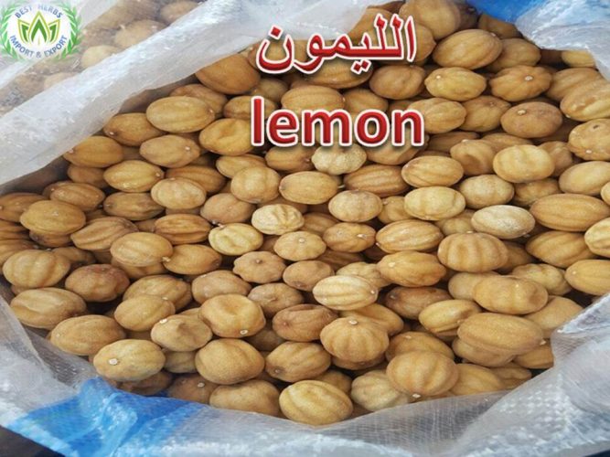 lemons for export