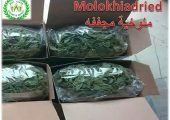 Molokhia Dried leaves for export