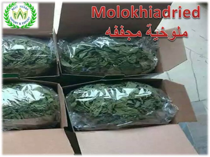 Molokhia Dried leaves for export