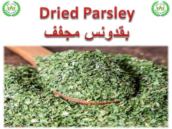 Dried Parsley for export