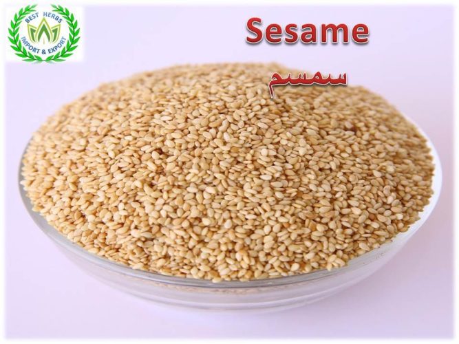 seeds Sesame for export