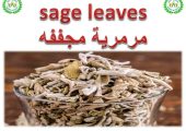 sage for export