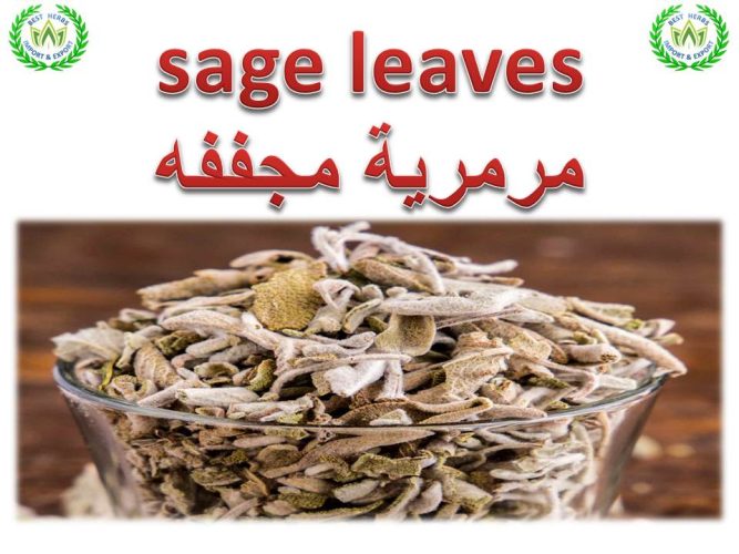 sage for export