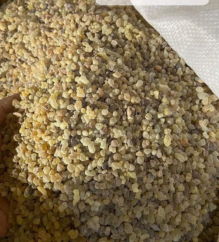 frankincense resin